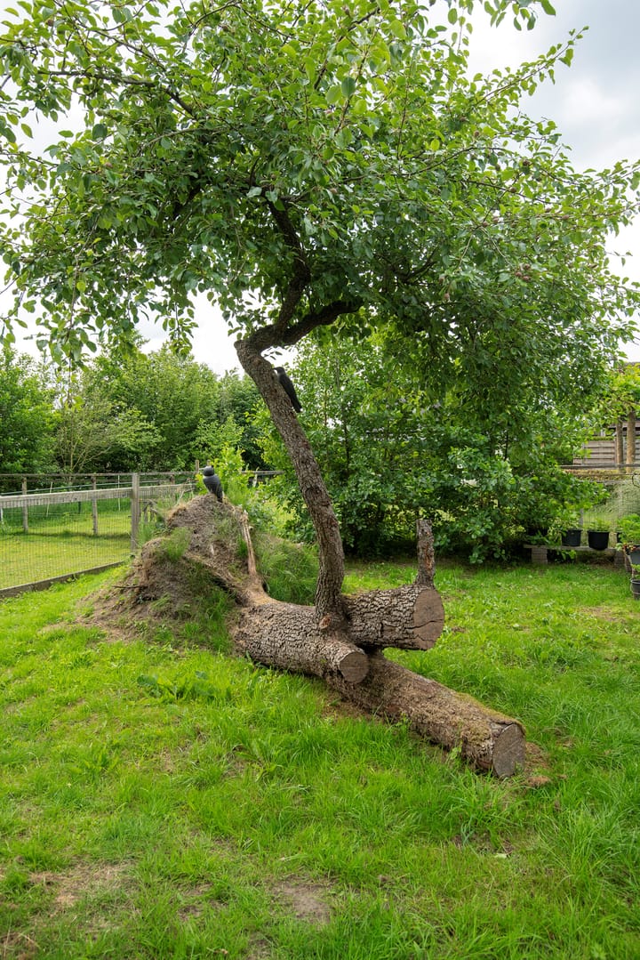 Photo 54 of Stenenkamerseweg 37