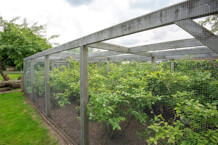 Photo 56 of Stenenkamerseweg 37