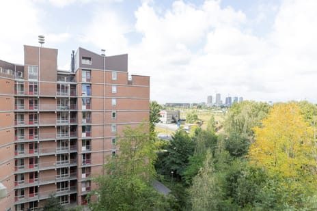 Leerdamhof 114