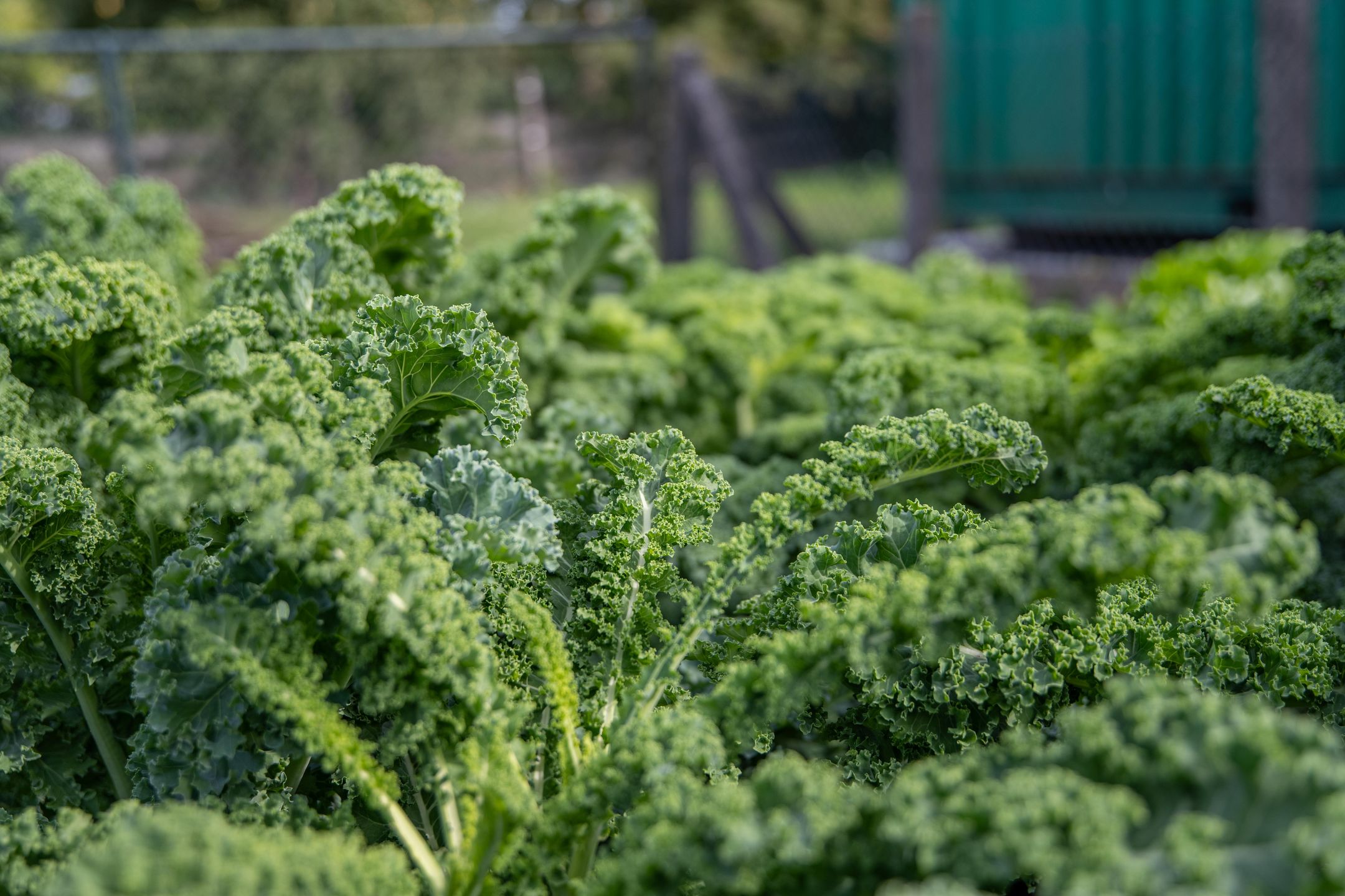 Photo 90 of Polselaan 10