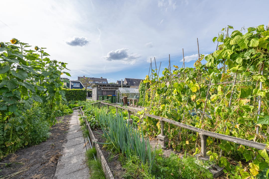 Photo 91 of Polselaan 10