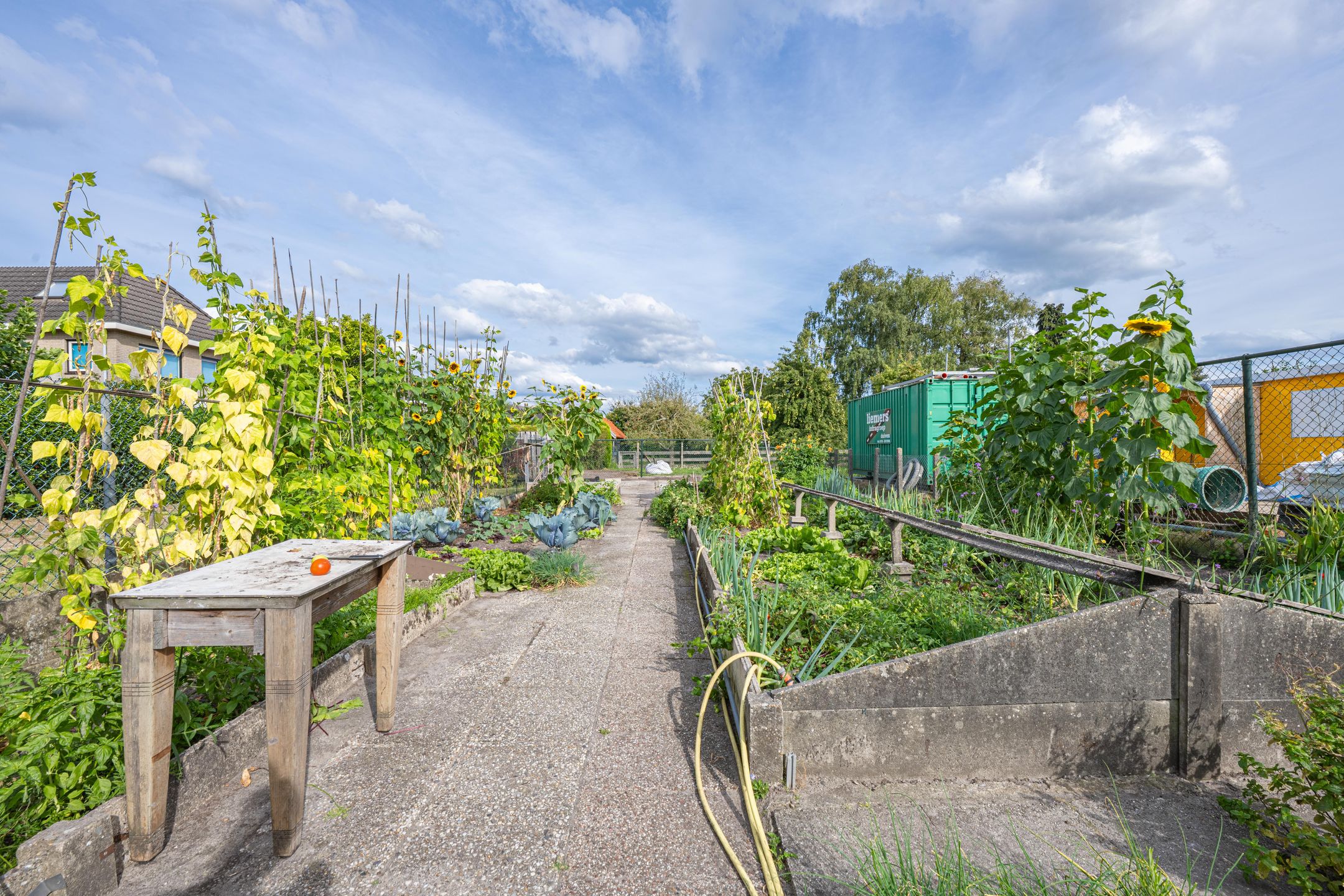 Photo 93 of Polselaan 10