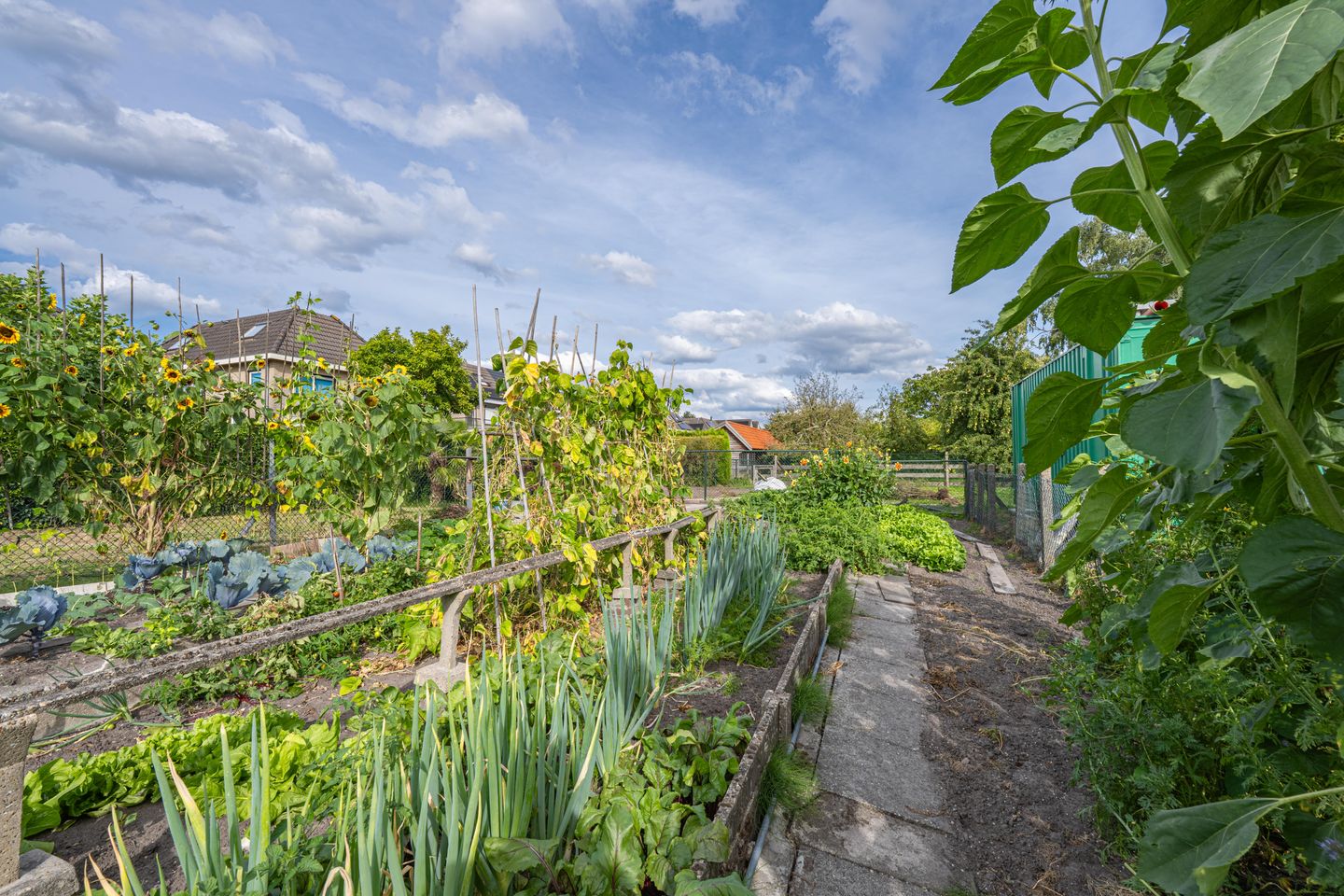 Photo 95 of Polselaan 10