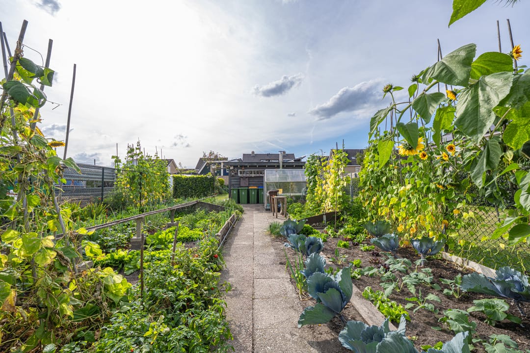 Photo 98 of Polselaan 10