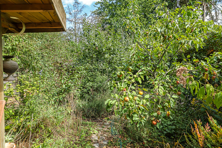 Photo 81 of Lucaslaan 15