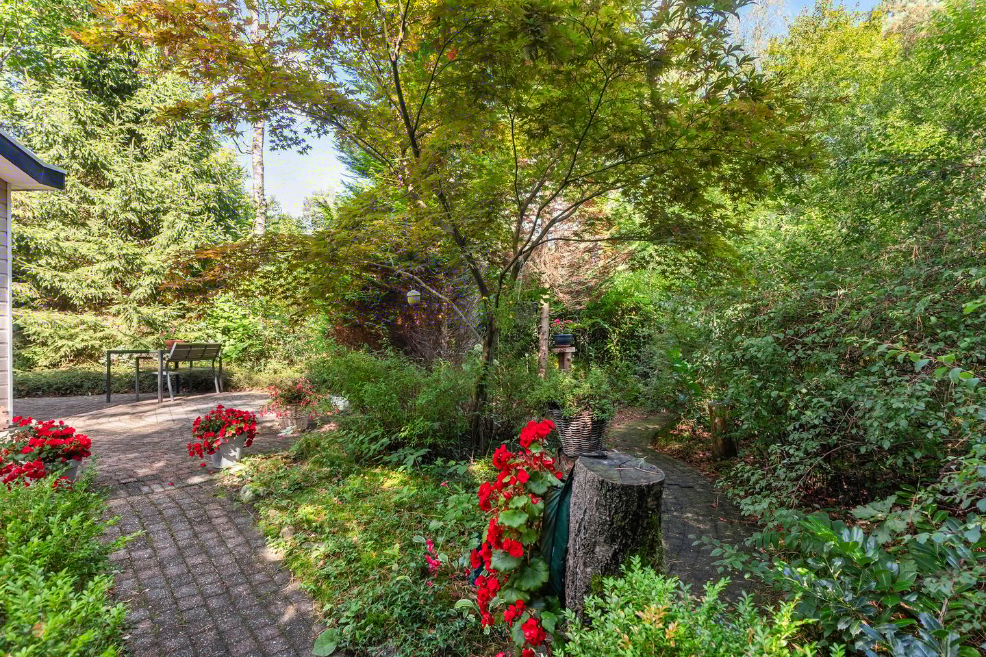 Foto 19 van Reeënbergweg 18-34