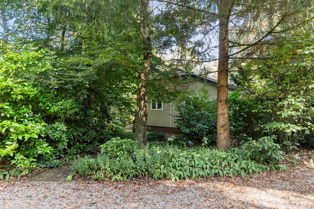 Foto 23 van Reeënbergweg 18-34