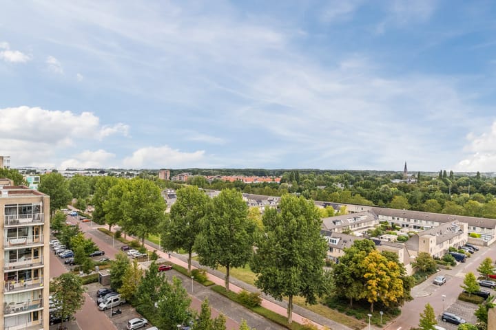 Foto 4 van Rosa Spierlaan 438