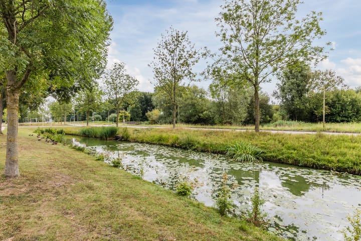 Photo 34 of Rosa Spierlaan 438