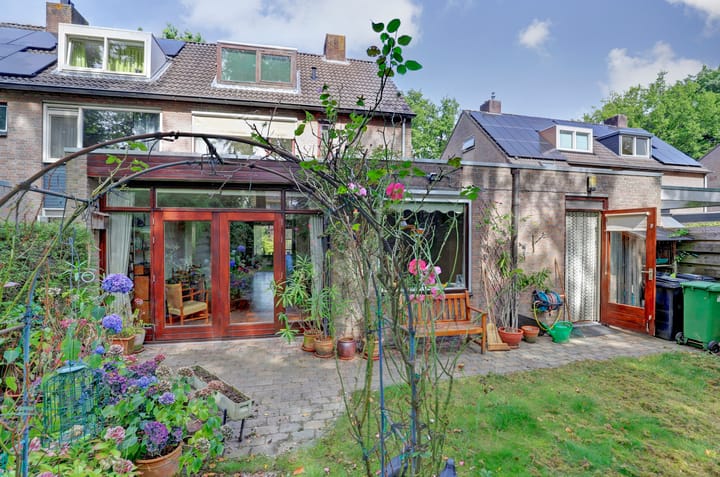 Foto 3 van Pinkelbergen 4