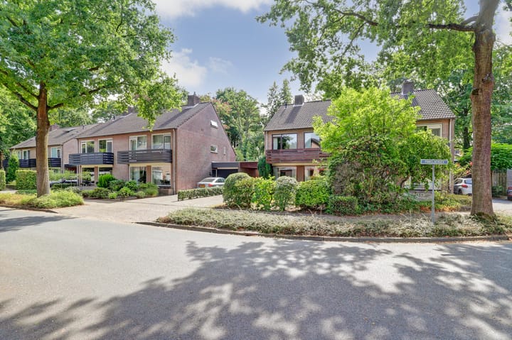 Foto 2 van Pinkelbergen 4