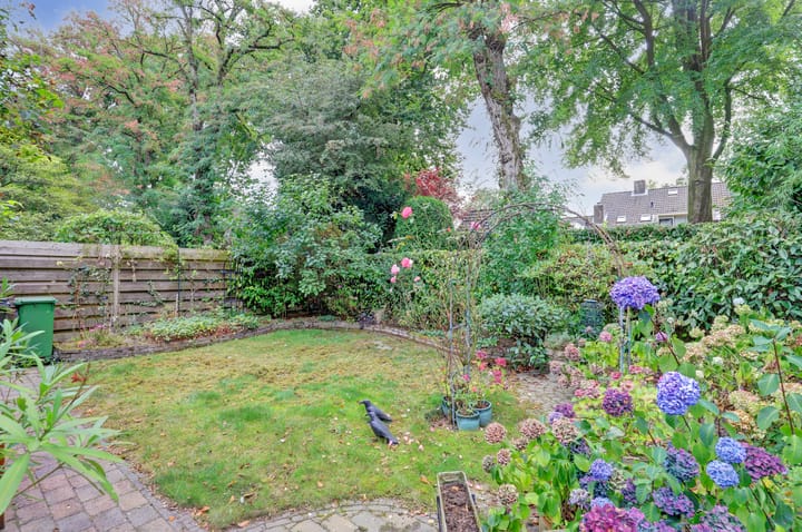 Foto 4 van Pinkelbergen 4