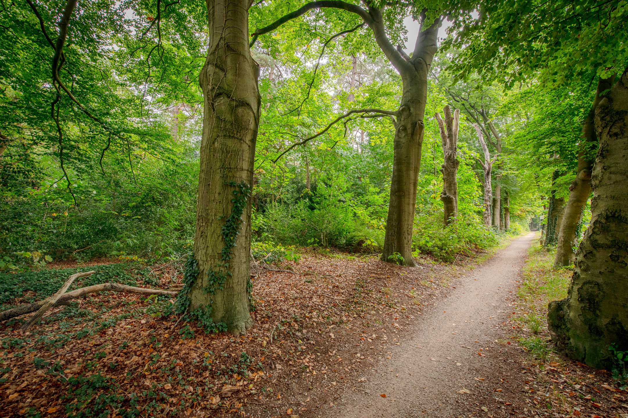 Foto 30 van Universumlaan 9