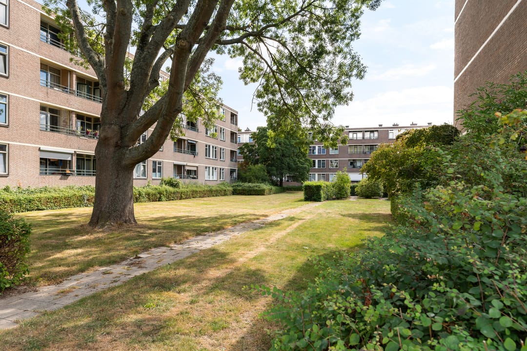 Foto 32 van Vegelinsoord 162