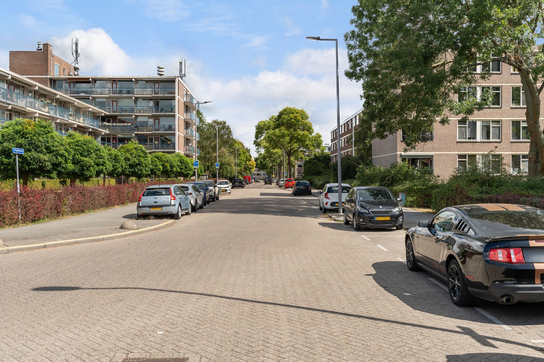 Foto 33 van Vegelinsoord 162