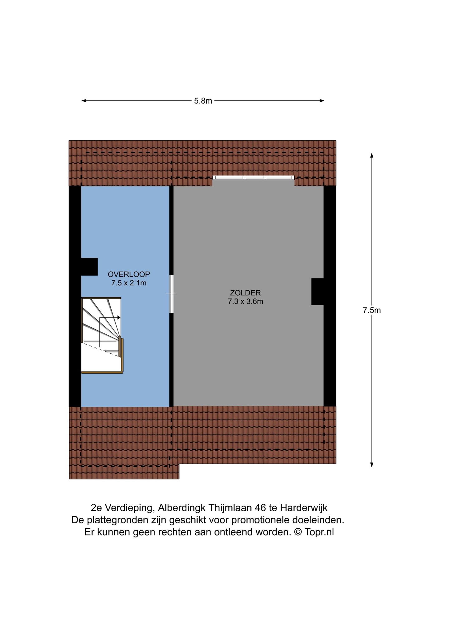 Photo 25 of Alberdingk Thijmlaan 46