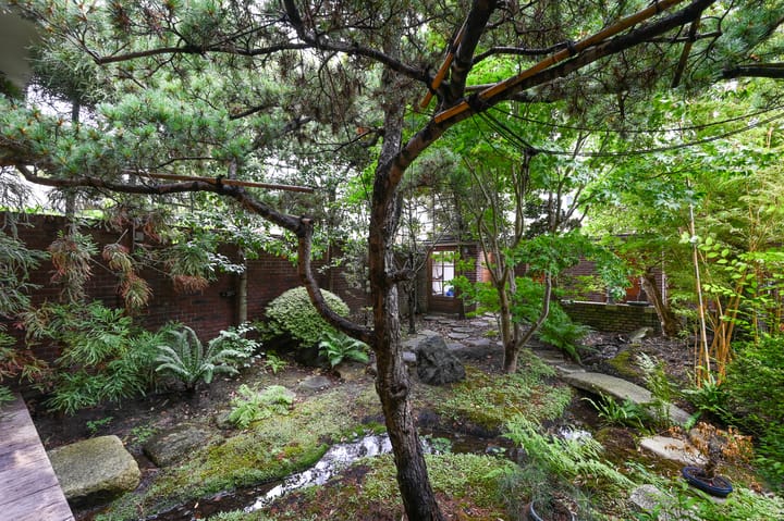 Foto 11 van Goeverneurlaan 186