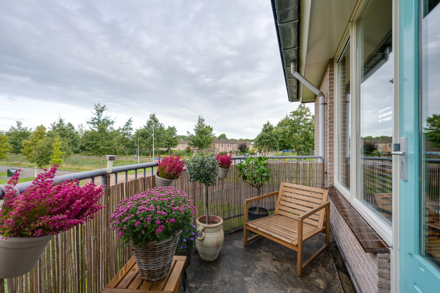 Photo 4 of Fonteinkruid 57