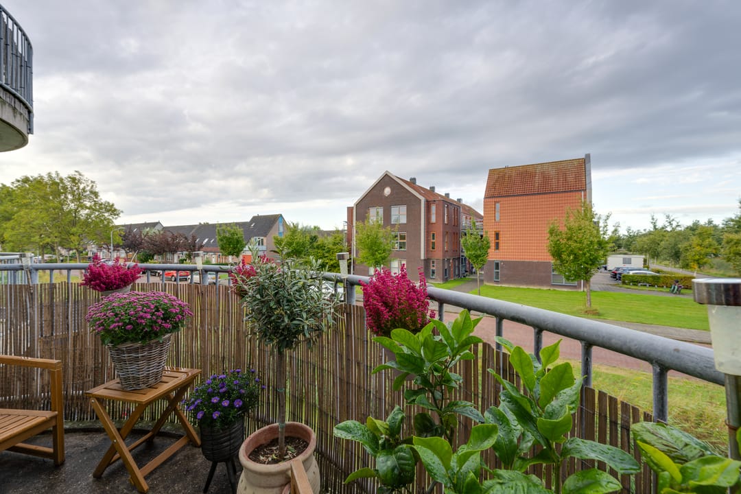 Photo 32 of Fonteinkruid 57