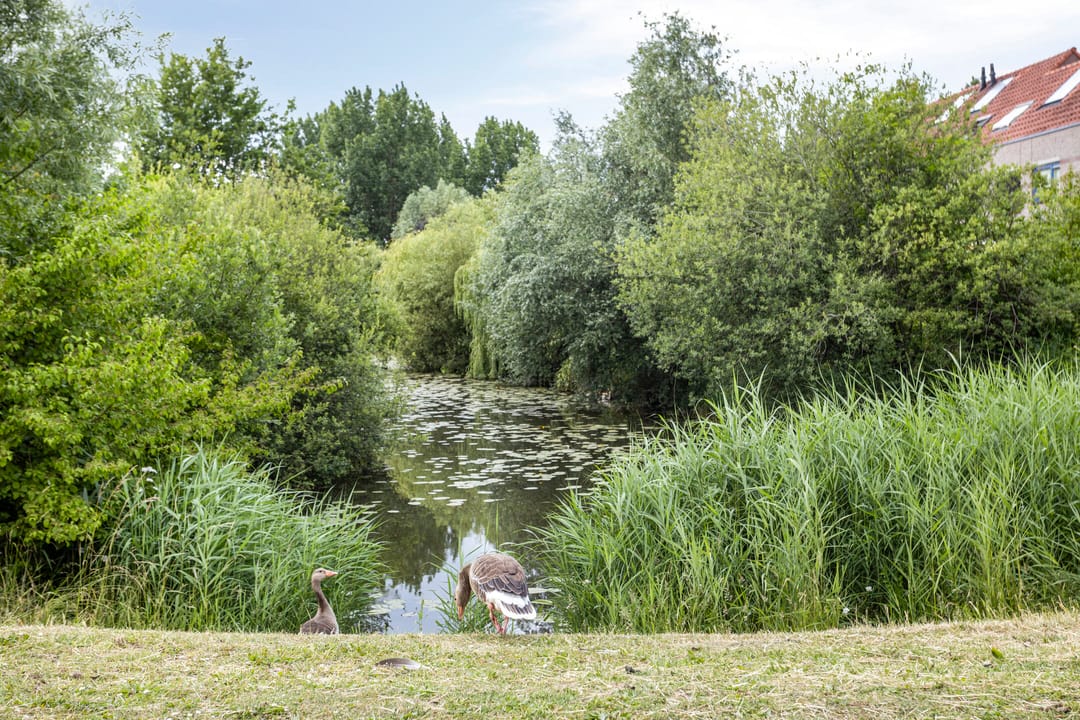 Foto 38 van Robert de Vriesstraat 7