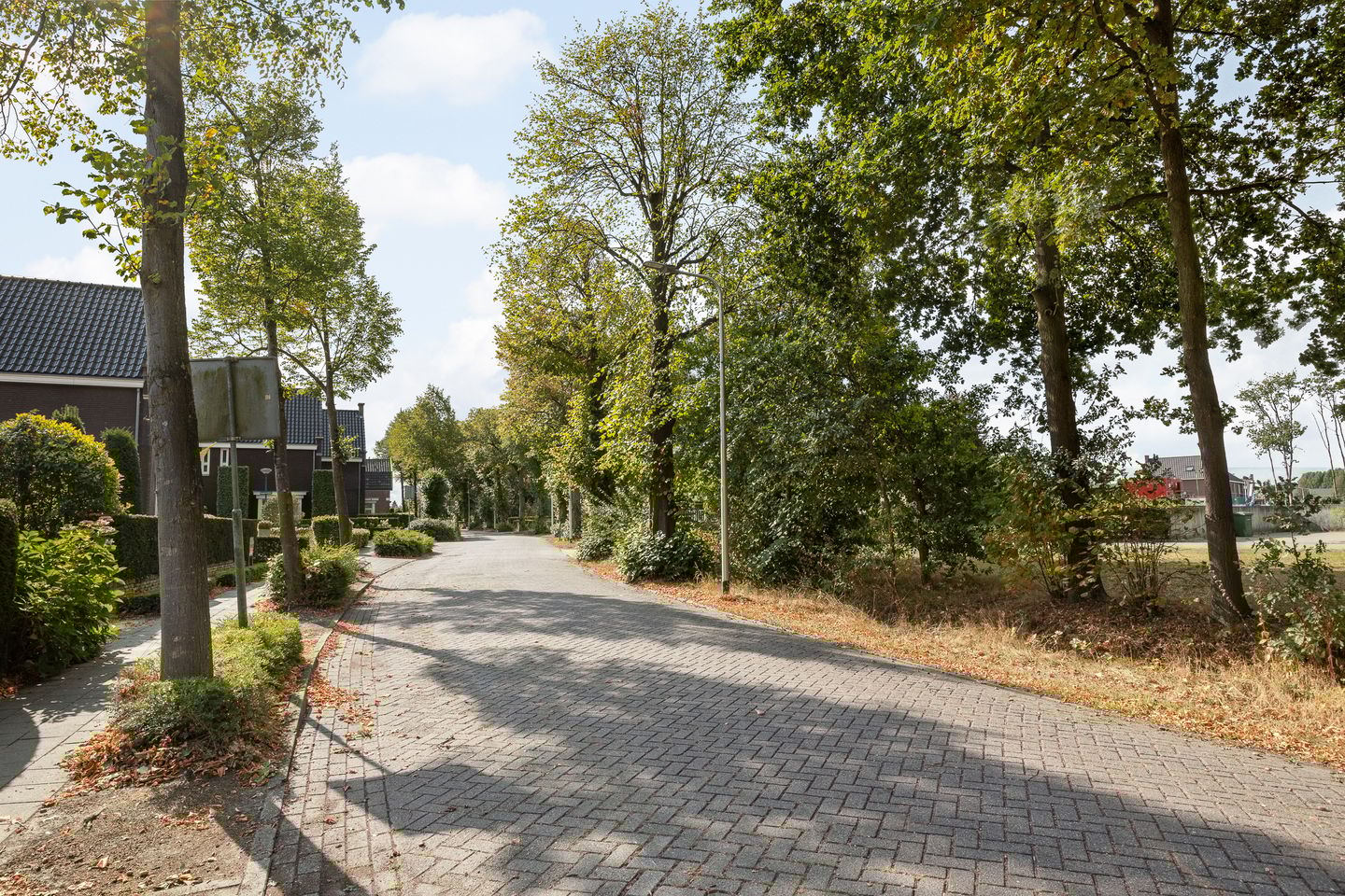 Photo 5 of De Brug 20