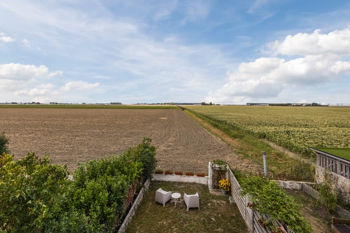 Foto 3 van Kwakkel 21