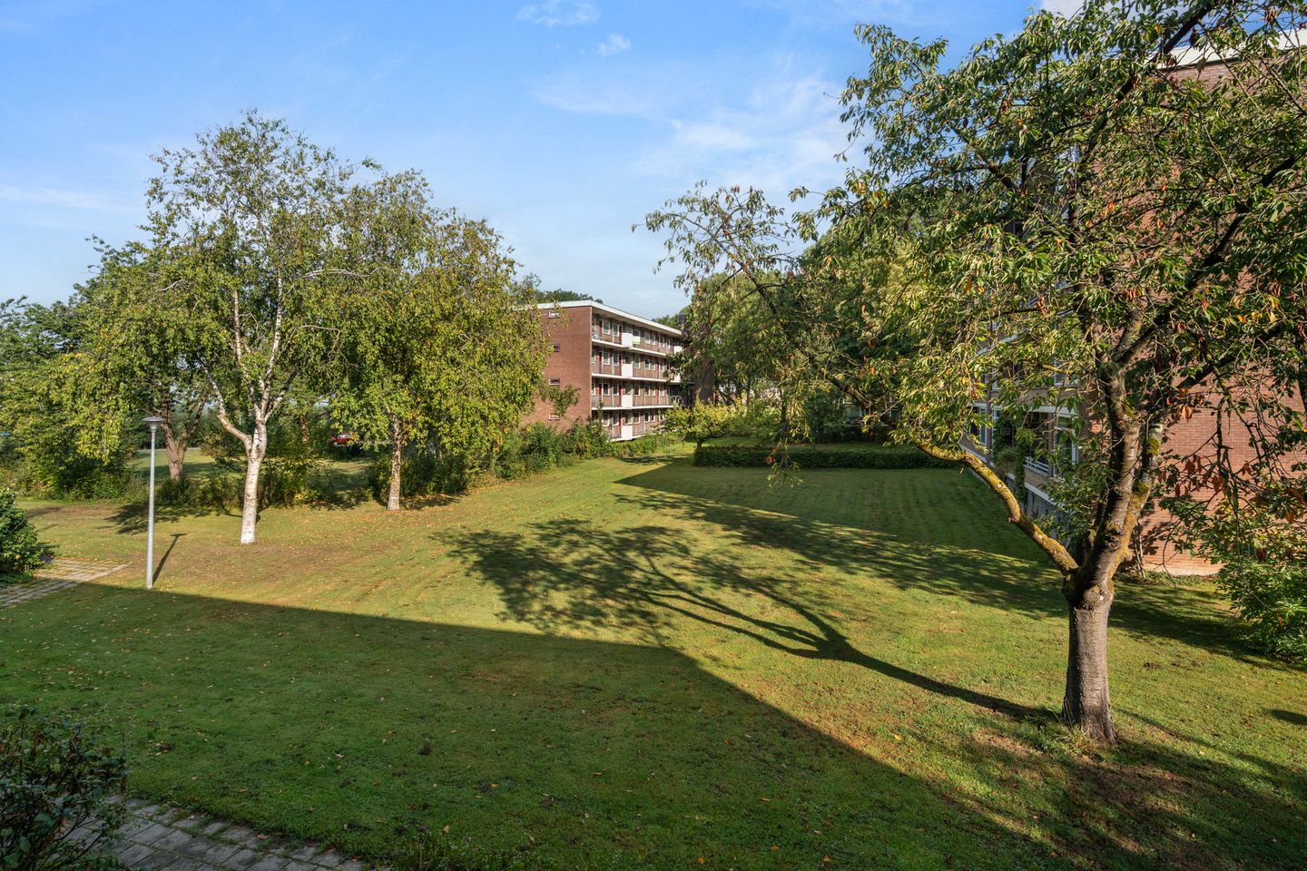 Foto 25 van Van Houtenstraat 34