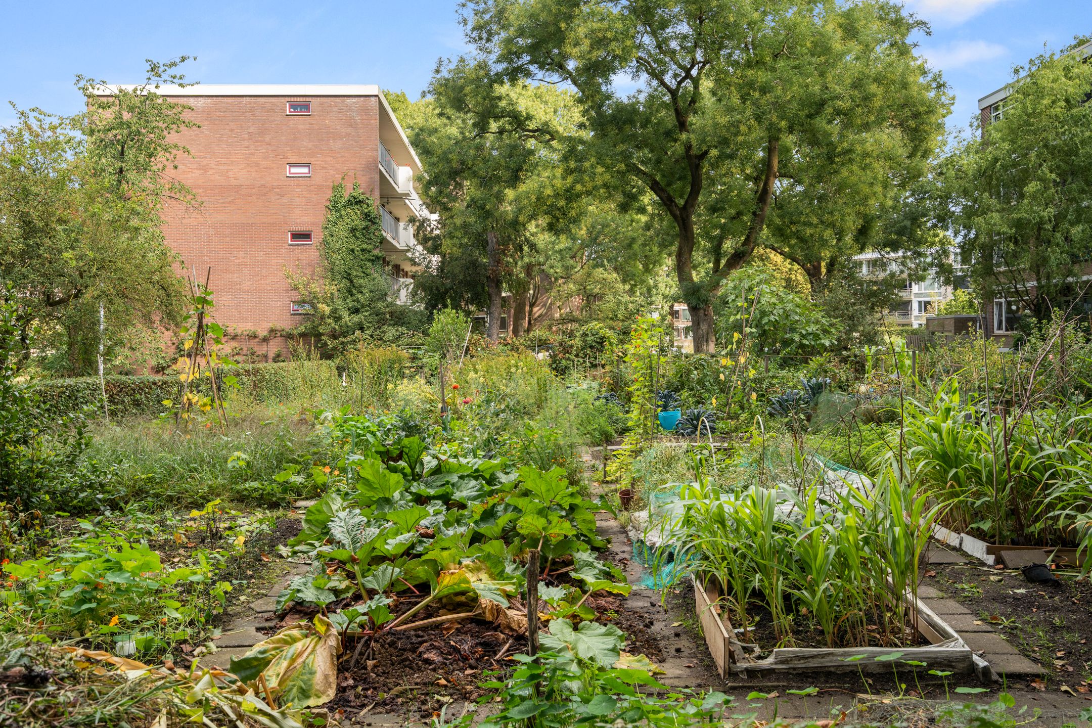 Foto 30 van Van Houtenstraat 34