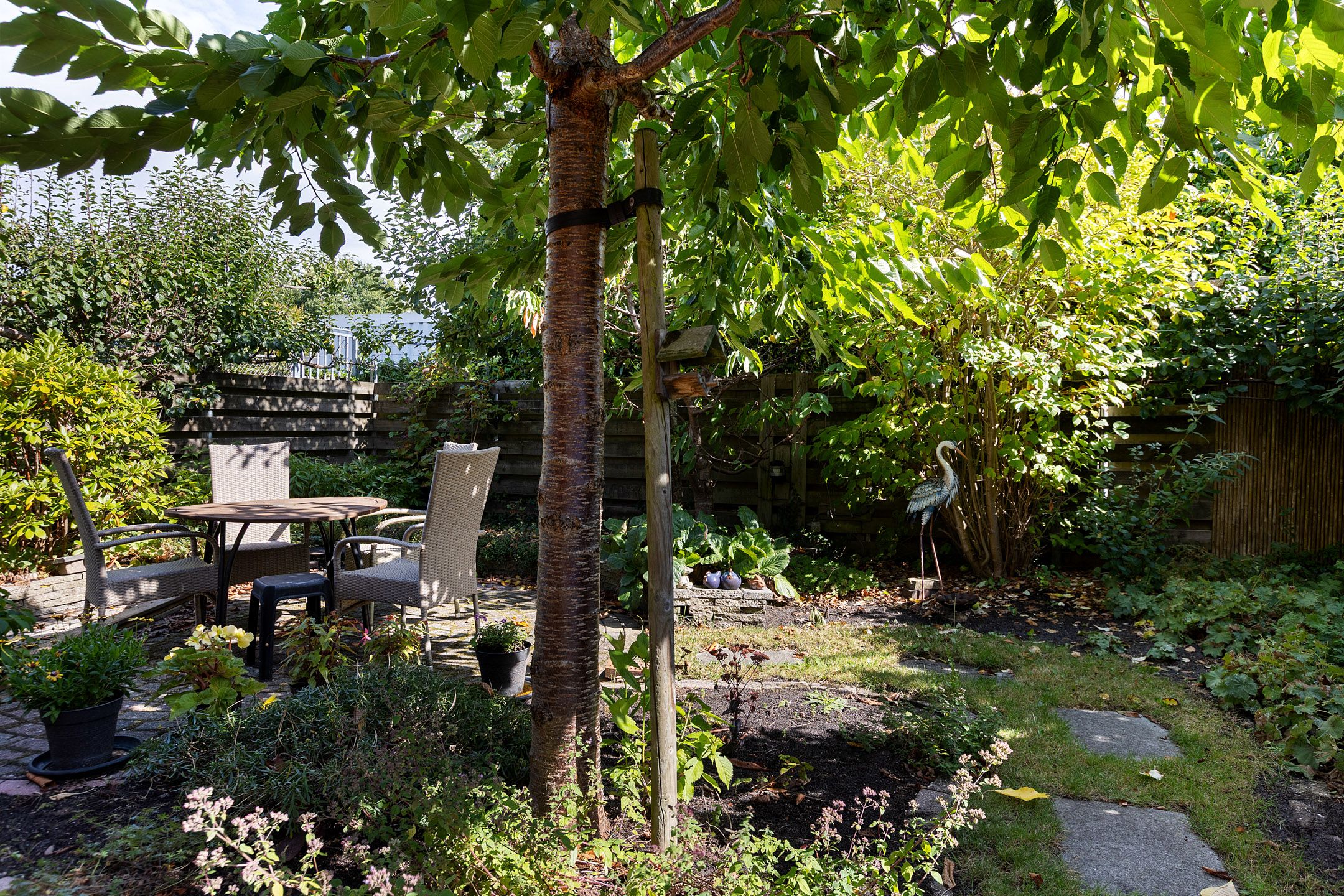 Foto 33 van Jachthoorn 57