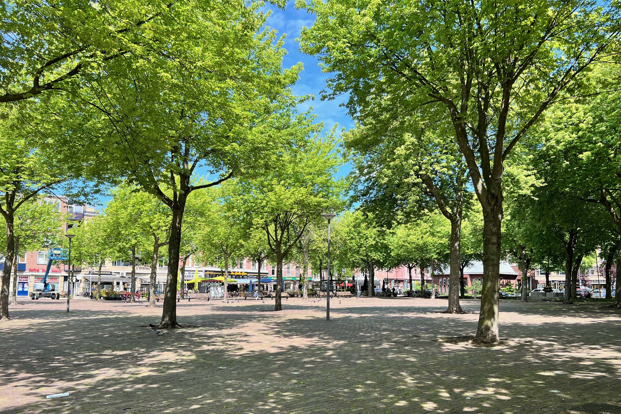 Foto 33 van Zwart Janstraat 36-B02