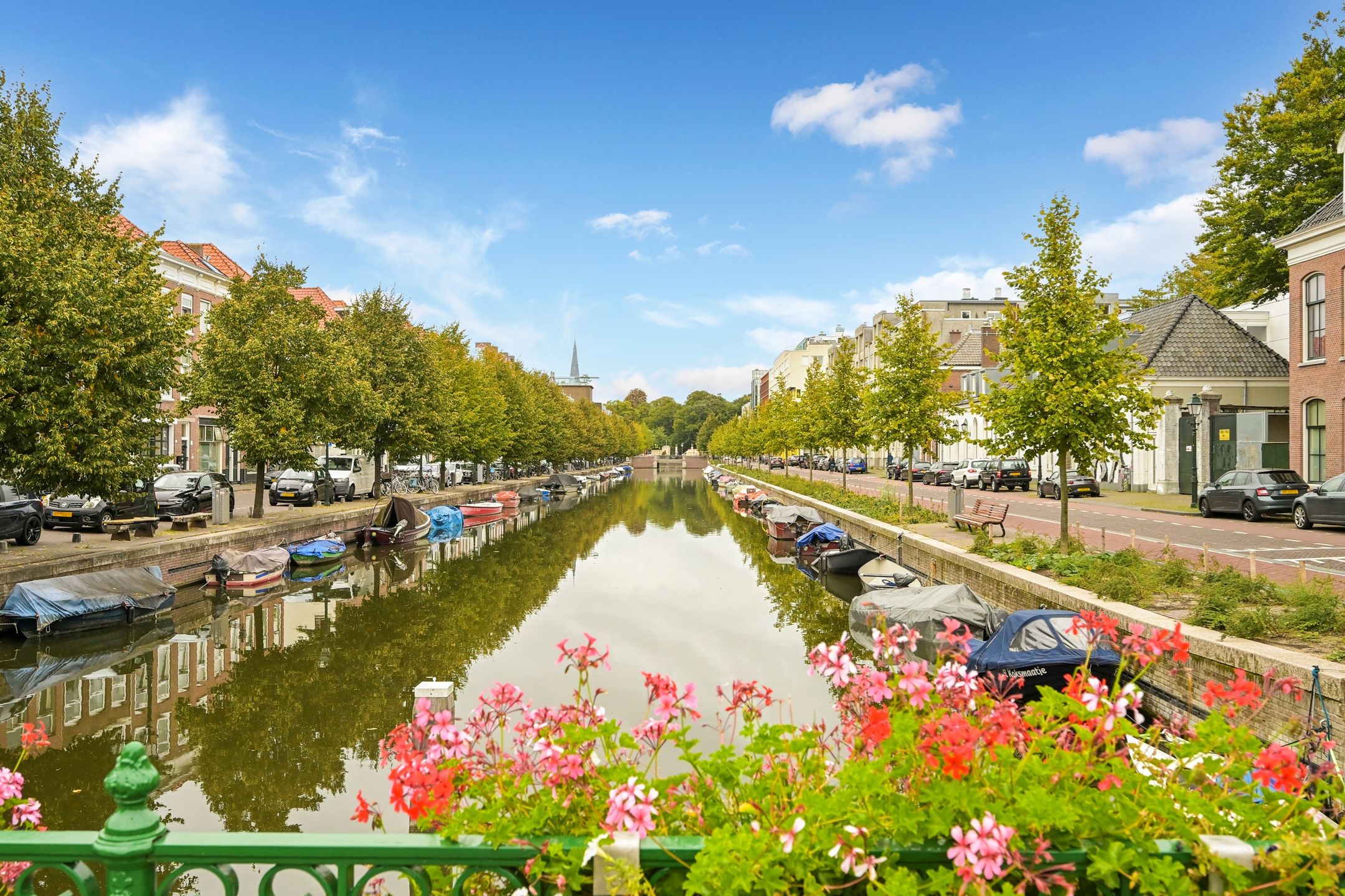 Foto 15 van Noordwal 45