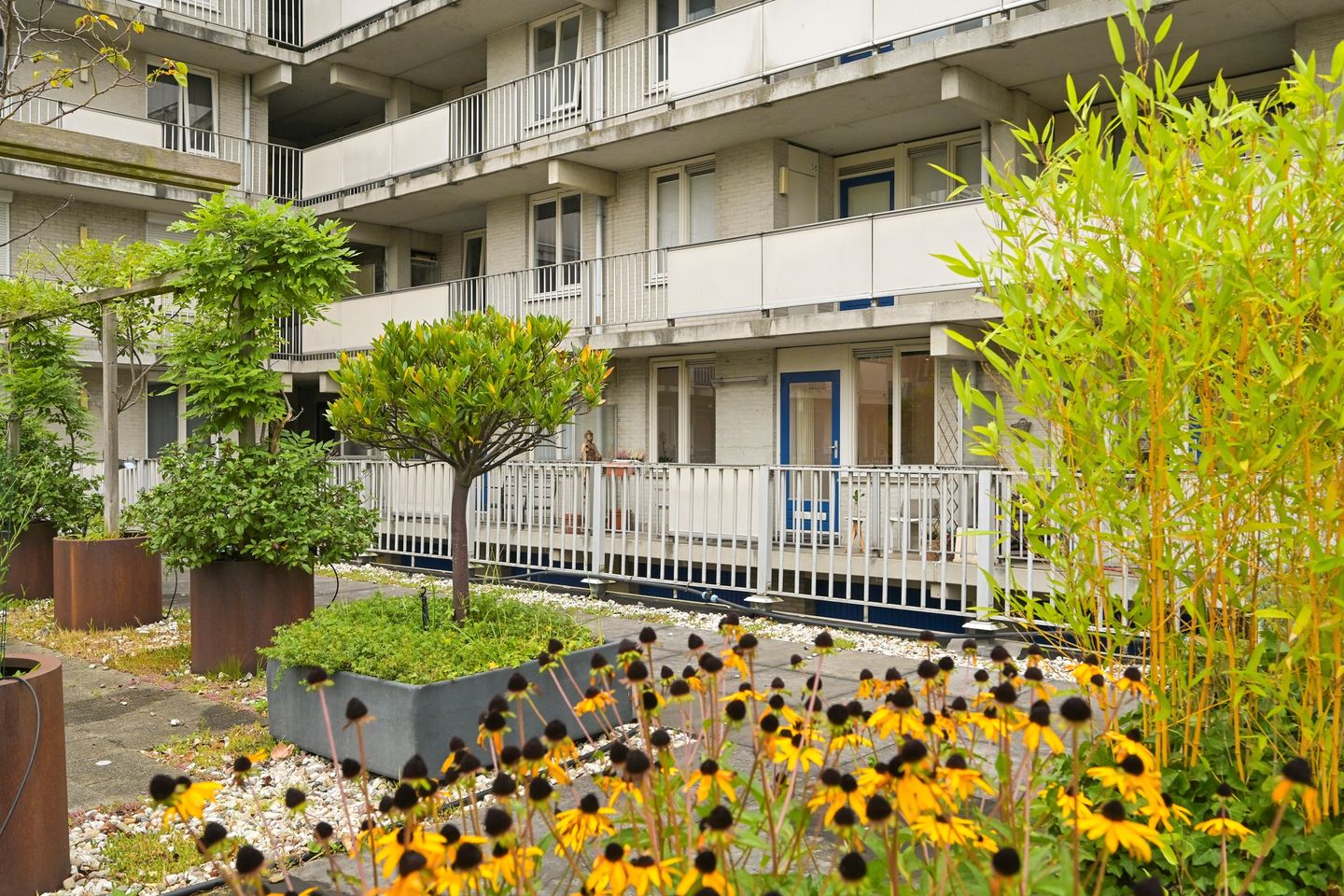 Foto 19 van Noordwal 45