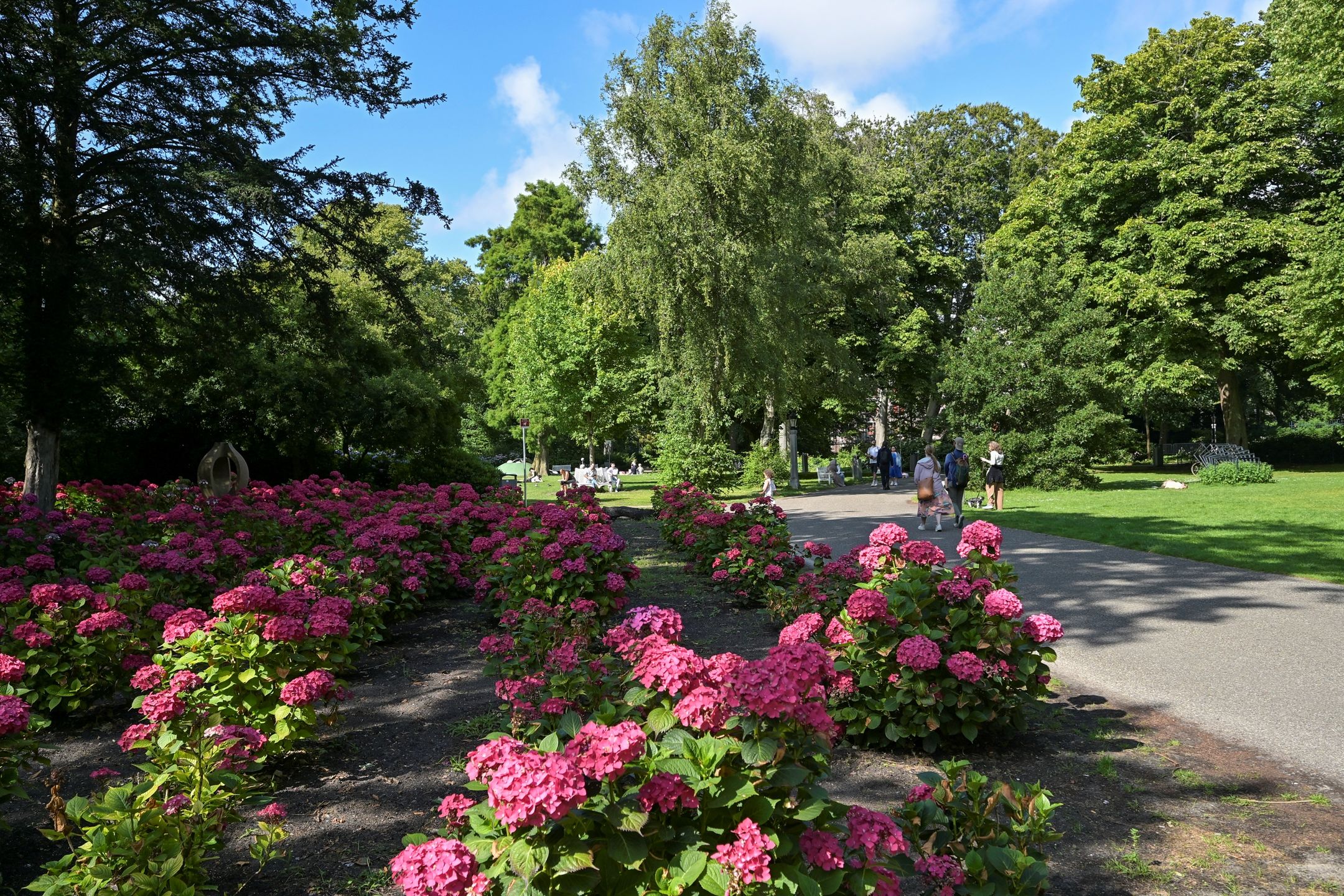 Foto 48 van Noordwal 45