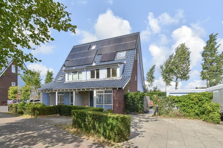 Foto 1 van Cypergras 215