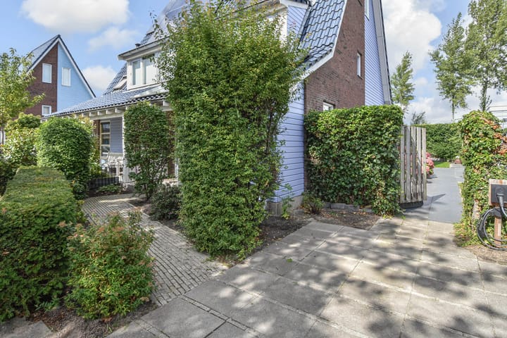 Foto 4 van Cypergras 215