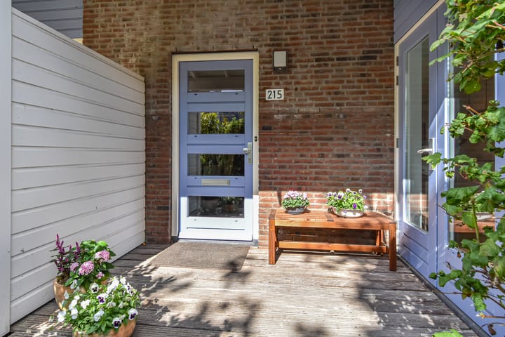 Foto 5 van Cypergras 215