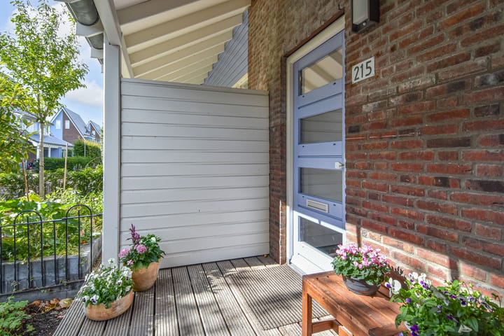 Foto 6 van Cypergras 215