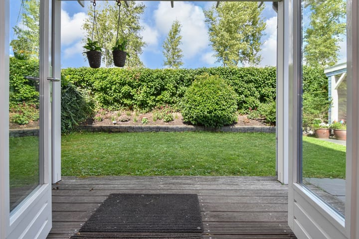 Foto 12 van Cypergras 215