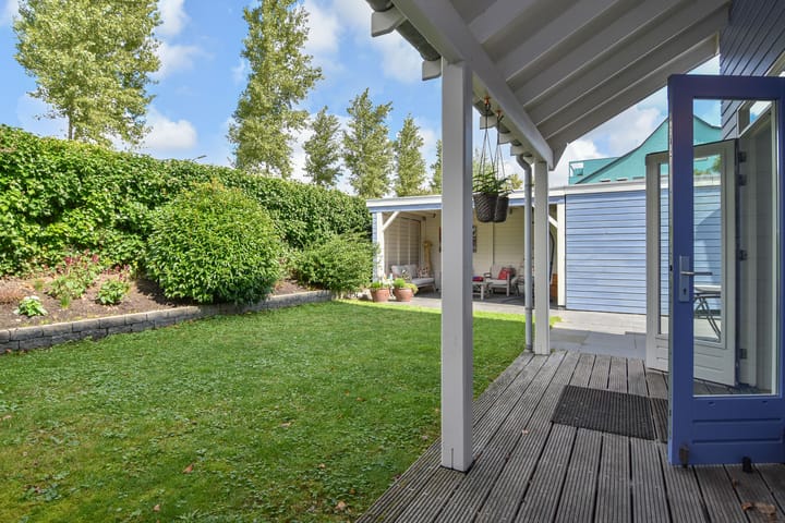 Foto 13 van Cypergras 215