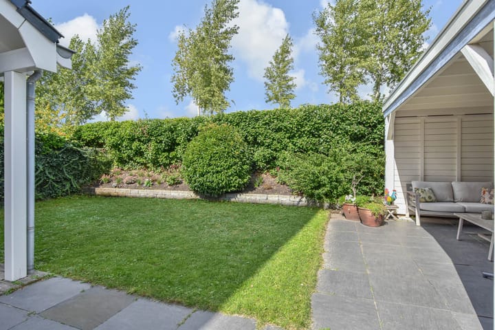 Foto 16 van Cypergras 215