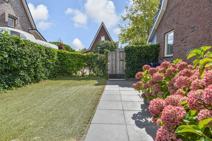 Foto 23 van Cypergras 215