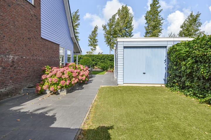 Foto 24 van Cypergras 215