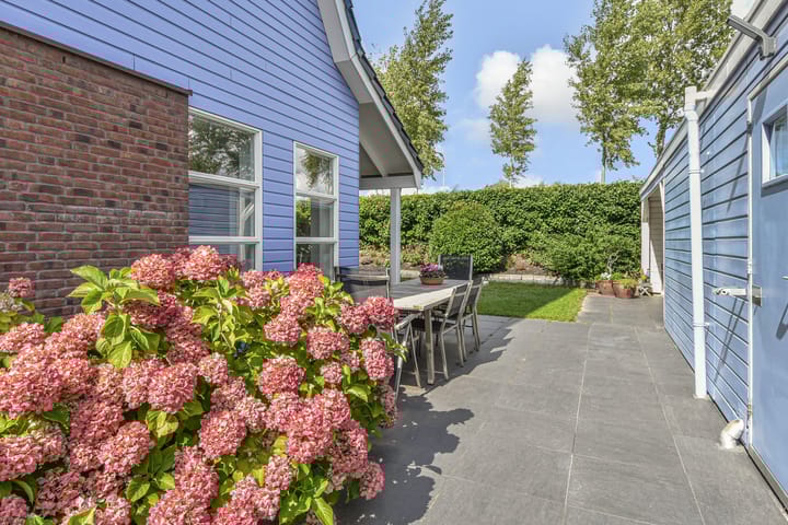 Foto 25 van Cypergras 215