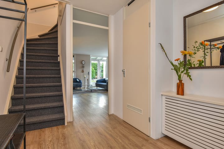 Foto 35 van Cypergras 215