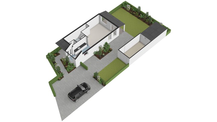 Foto 62 van Cypergras 215