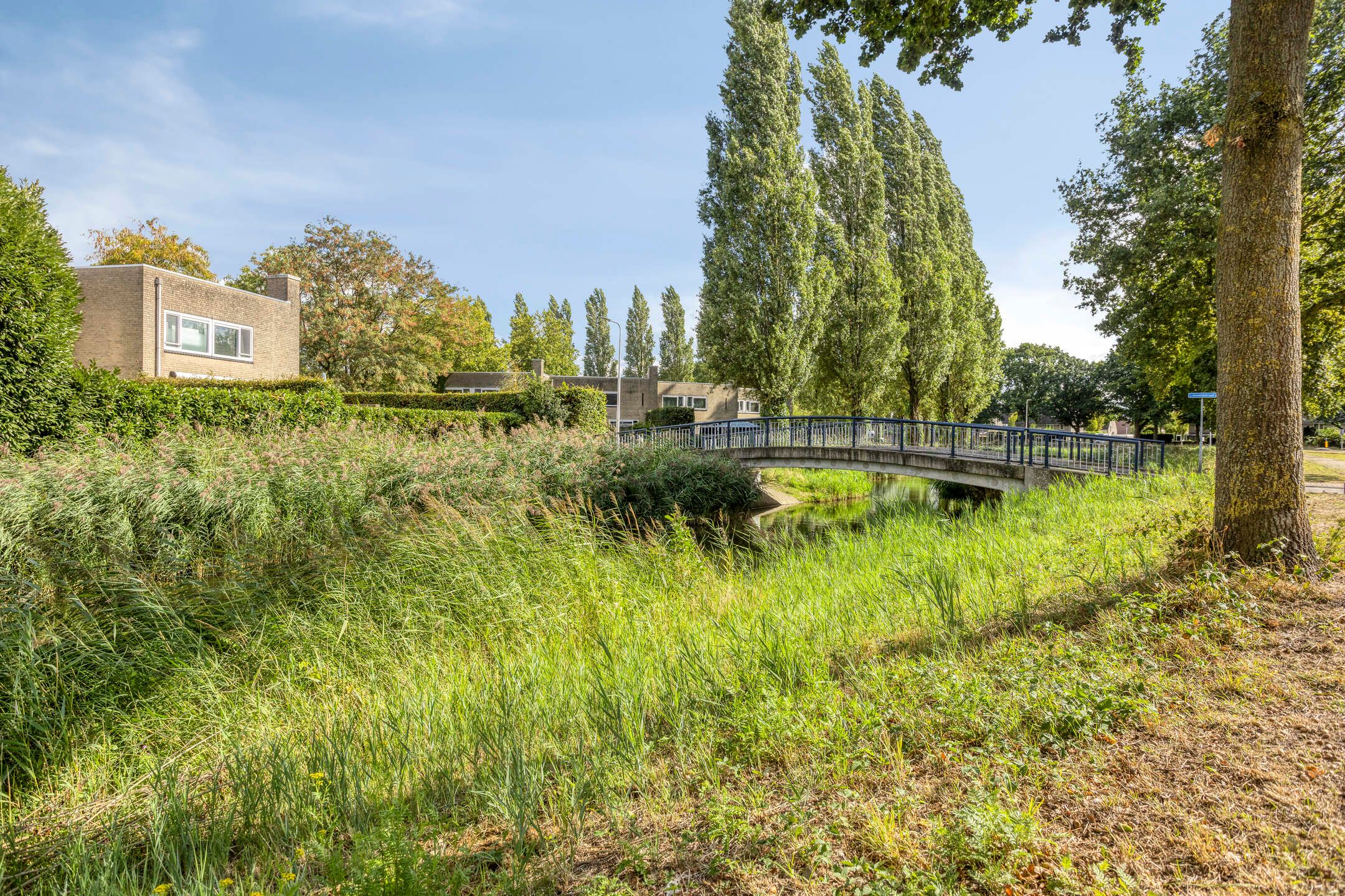 Foto 30 van Liefkenshoekstraat 39