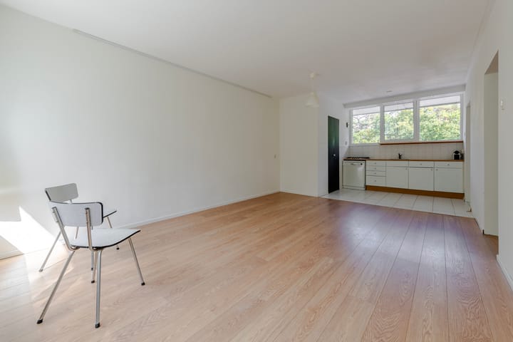 Foto 3 van Anna Paulownalaan 21