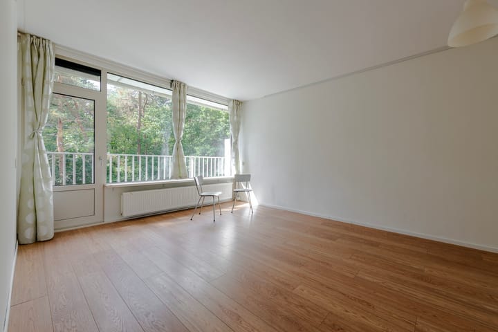 Foto 4 van Anna Paulownalaan 21