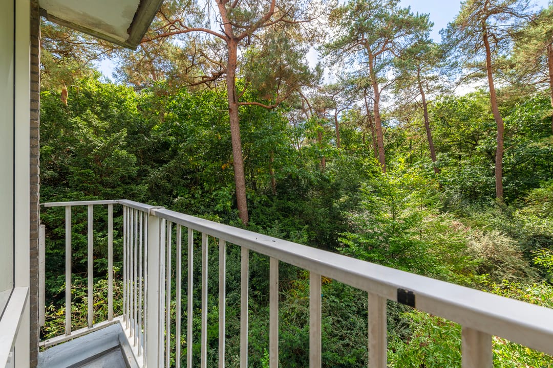 Foto 13 van Anna Paulownalaan 21