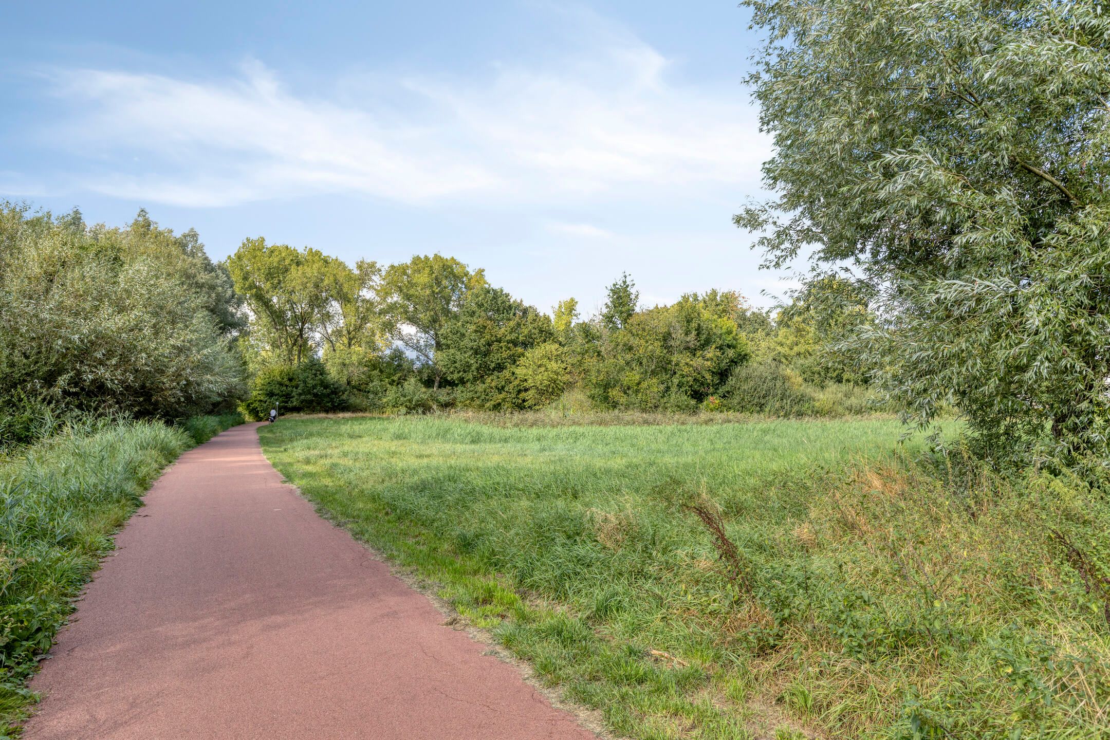 Foto 39 van Adelaartlaan 108